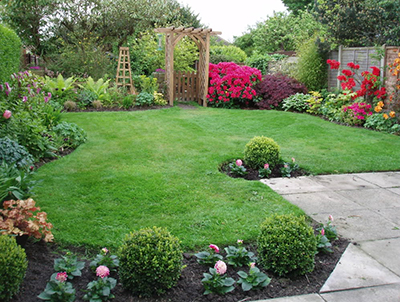 Landscaping Tips and Tricks | Hire a Hubby